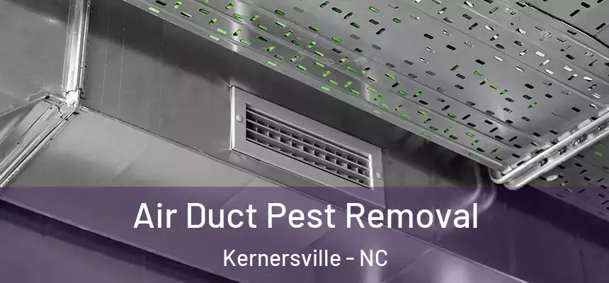  Air Duct Pest Removal Kernersville - NC