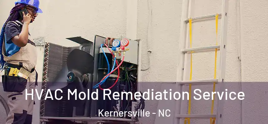  HVAC Mold Remediation Service Kernersville - NC
