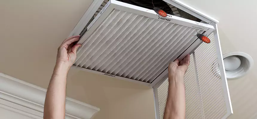 Preventive Cockroach-Proofing for Ducts in Kernersville