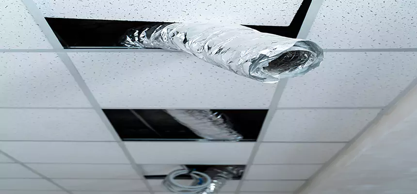 Affordable HVAC Sanitizing After Pest Removal in Kernersville