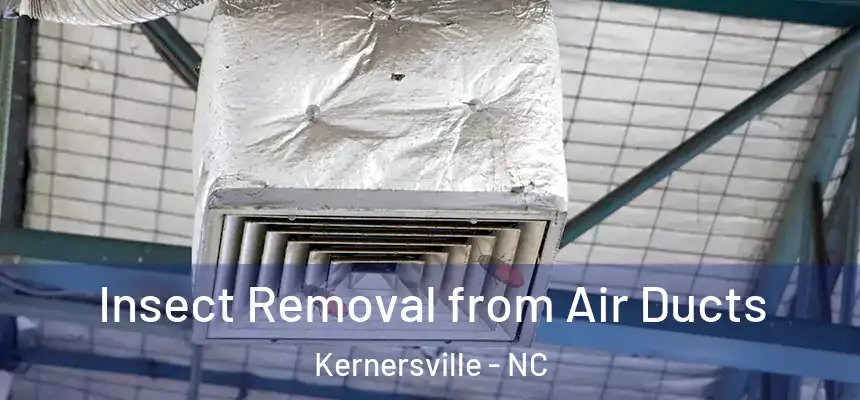 Insect Removal from Air Ducts Kernersville - NC