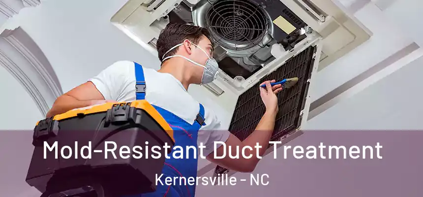 Mold-Resistant Duct Treatment Kernersville - NC