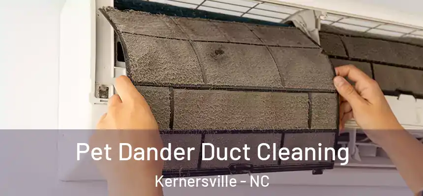 Pet Dander Duct Cleaning Kernersville - NC