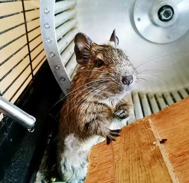 Why Homeowners & Businesses Trust Us Kernersville, NC